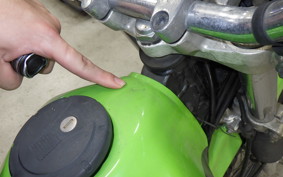 KAWASAKI SUPER SHERPA 2005 KL250G
