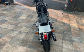 HARLEY FXDL1580 2002 GDV