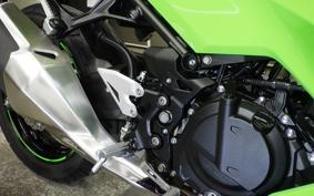 KAWASAKI NINJA 250 2