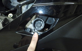 KAWASAKI ZX-25R 2007 ZX250E