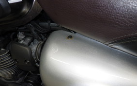 KAWASAKI W800 CAFE 2020 EJ800B