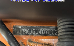 OTHER DUKE390 2014