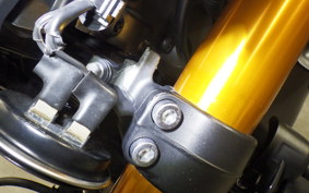 YAMAHA MT-09 SP 2023 RN69J