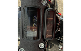 HARLEY FXBBS 2024 YYK