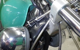YAMAHA VIRAGO 250 2021 3DM