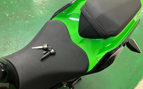 KAWASAKI NINJA 400 2019 EX400G