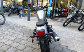 HONDA  REBEL 250 ABS MC49
