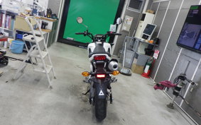 HONDA GROM 2022 JC61