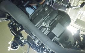 HONDA REBEL 250 E-Clutch MC49