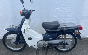 HONDA C90