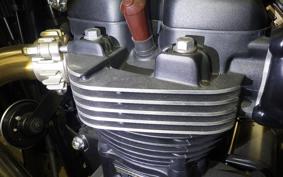 TRIUMPH BONNEVILLE T100 2021