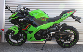 KAWASAKI NINJA 250 KRT ED EX250P
