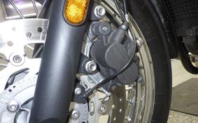 TRIUMPH BONNEVILLE T100 2020