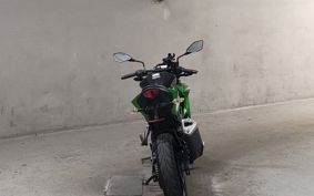 KAWASAKI Z250 SL BR250E