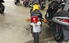 HONDA ELSINORE 250 MT250