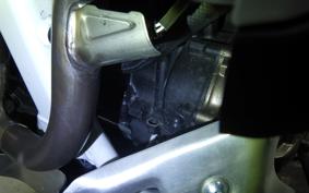 HONDA CRF1100L AFRICA TWIN DCT 2024 SD15