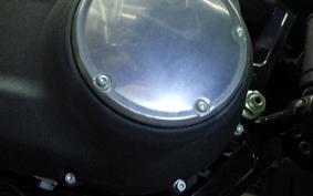 HARLEY FXBB1750 2020