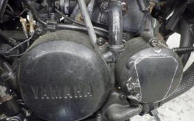 YAMAHA DT50 2025 17W