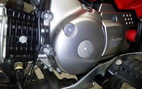 HONDA CT125 HUNTER CUB 2022 JA55