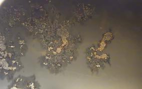 KAWASAKI NINJA 250R 2012 EX250K