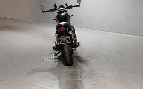 TRIUMPH SPEED TWIN 900 DAD74G