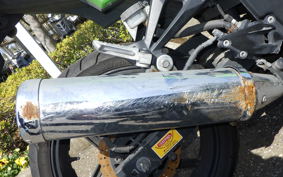 KAWASAKI NINJA 250R EX250K