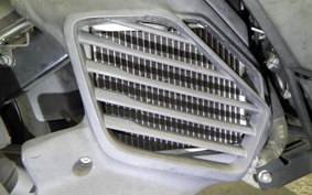 YAMAHA CYGNUSｸﾞﾘﾌｧｽ SEJ4J