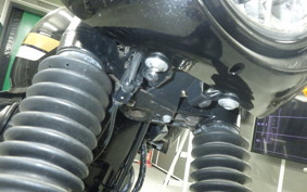 KAWASAKI W800 CAFE 2022 EJ800E