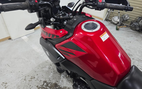 SUZUKI STROM 250 DS11A