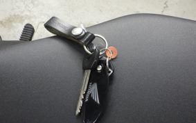 HONDA REBEL 250 MC49