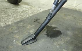 DUCATI MONSTER + 2021