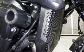KAWASAKI Z900 Gen.2 2019 ZR900B
