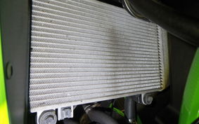 KAWASAKI NINJA 250R EX250K