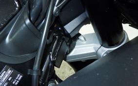 TRIUMPH DAYTONA 660 2024