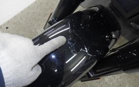 HARLEY FLSL 1750 2020