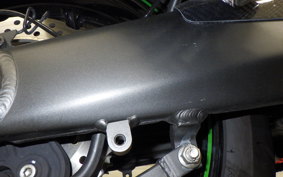 KAWASAKI Z1000 Gen.5 2017 ZXT00W