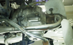 HONDA C50 SUPER CUB 2024 C50