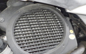 HONDA LEAD 110 2025 JF19