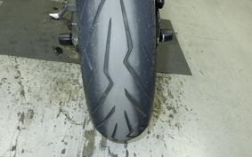 YAMAHA WR250X 2021 DG15J