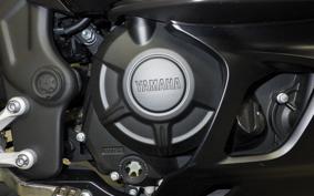 YAMAHA YZF R-3 2025 RH21J