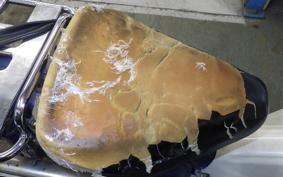 HONDA C50 SUPER CUB AA01