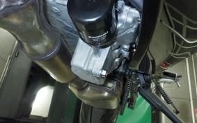 KAWASAKI NINJA 1000 SX 2024 ZXT02K