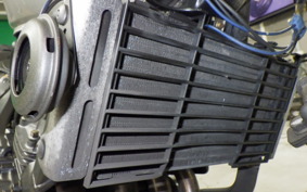 HONDA HORNET 250 MC31