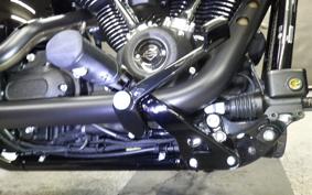 HARLEY FXLRST1920 2025