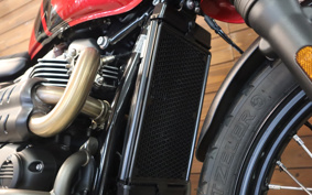 TRIUMPH SCRAMBLER 2024 DAD78G