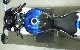 SUZUKI GSX-R1000 2010