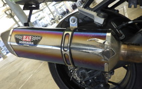 KAWASAKI ZX 1400 NINJA R A 2019