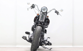 HARLEY FLSTSB 2009 JM5