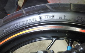 KAWASAKI NINJA 250 EX250L