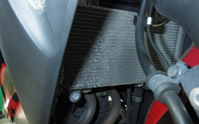 KAWASAKI NINJA 250 ABS 2004 EX250L